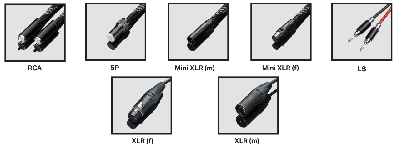 Pro-Ject Connect it DS mobilbilde